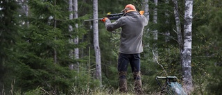 Släpp inga millimetrar i vapenfrågan