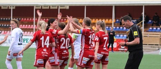 Egna talanger nya i allsvenska PIF-truppen