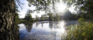 Nävekvarn ropar för döva öron i stadshuset