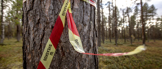 Skogsbolagets svar efter profilernas upprop