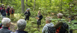 Mängder av människor söker sig ut i naturen