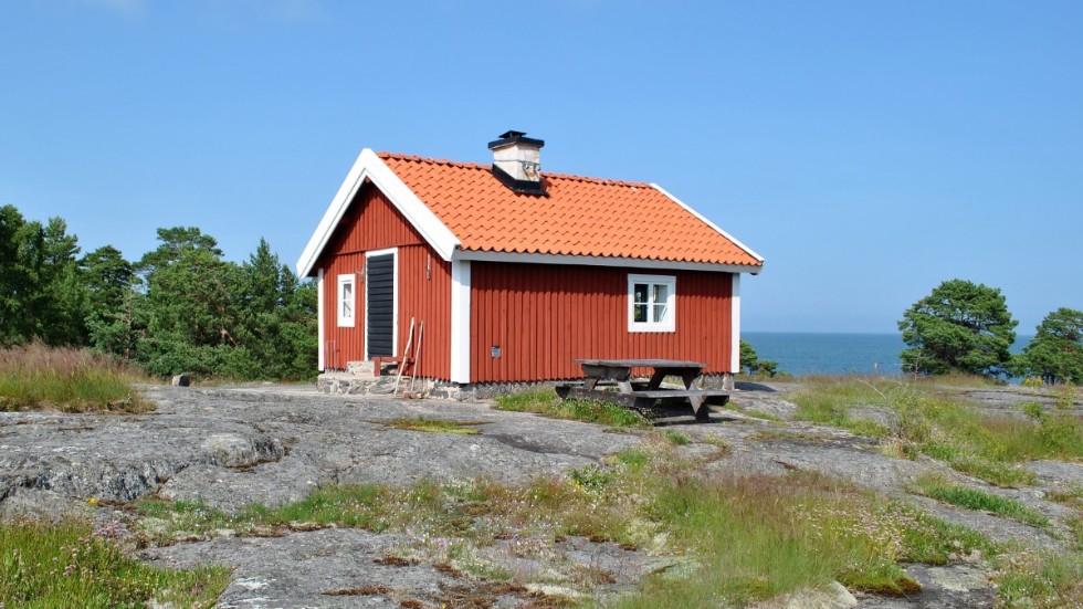 På Torrö växer hällmarkstallskog. Martallarna växer långsamt och de flesta träden är mycket gamla. De har stor betydelse för den biologiska mångfalden då de både ger mat och husrum till ett flertal fåglar och insekter.