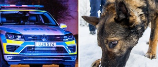 Rattfyllerist sprang in i skogen men spårades av hund 