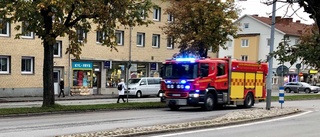 Befarade kroppar var rester av älg