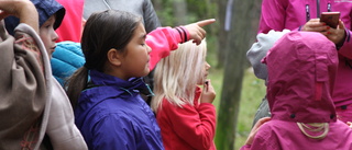 Sagornas skog lockar stora som små med skogsväsen