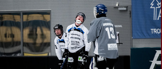 Paralyserat Sirius i skräckens arena