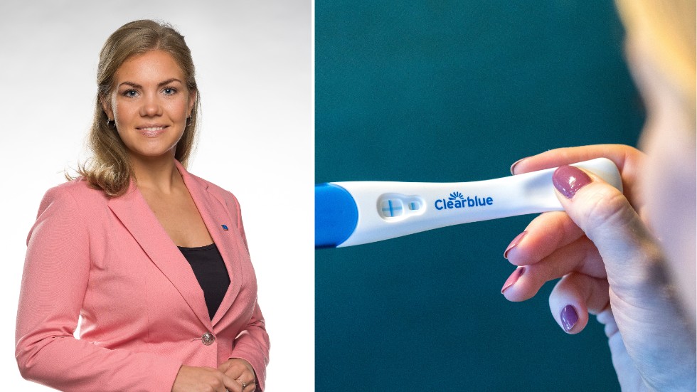 Enligt en granskning i DN har Uppsalapolitikern Sarah Havneraas (KD) tidigare varit engagerad i flera abortkritiska organisationer och bland annat skrivit texter för Provitas i dag nedlagda nättidning.