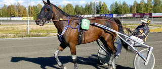 Rena Piteåderbyt under Skellefteåprmiären