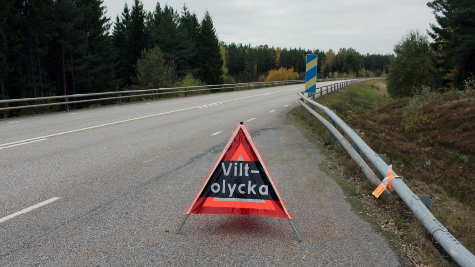 Ett vildsvin hittades påkört vid vägkanten. Bilden är från ett annan sammanhang.