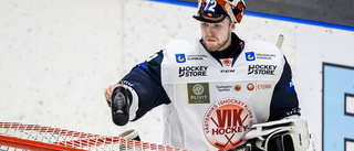 VIK-spelare rankas i toppen av Hockeyallsvenskan