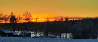 Läsarbild Glödande himmel över Boden