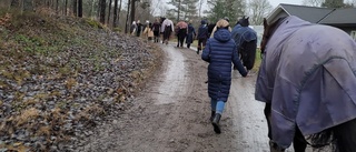 Ridskolehästar drog på äventyr: "Tack till alla som hjälpte till när våra fyrbenta busar rymde"