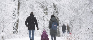 Västerbottningarna är bäst på jämställd fördelning av föräldrapenning • Se hela listan här