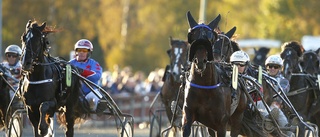 Sören tvåa i V75-lopp: ”Gjorde det otroligt bra”