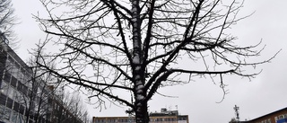 Torget: Så blir det med belysning i vinter