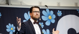 Det blir inte Jimmie Åkesson som tar SD i mål