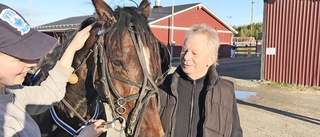 En riktig veteran dominerade i solen på Skelleftetravet