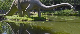 Långhalsade dinosaurier hade ont i halsen