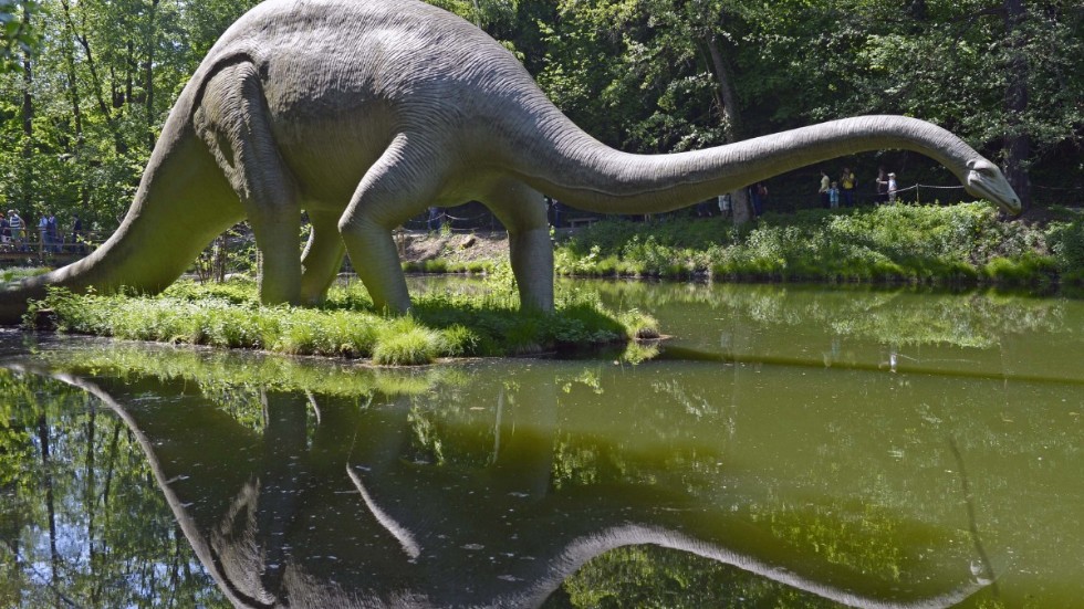 En diplodocid i dinosaurieparken Kleinwelka nära Bautzen, i östra Tyskland. Arkivbild.