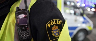 17-åring spottade dubbelt mot polis