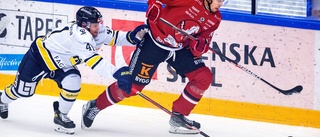 Hästens bästa trio inför storpubliken mot HV71