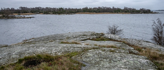 Ingen psykisk störning hos styckmordsåtalade