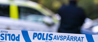 Mordmisstänkt i Sandviken släppt