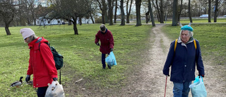 Föreningen arbetar för ett minska plasten i havet