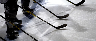 Så många Linköpingskillar blev antagna till LHC:s hockeygymnasium