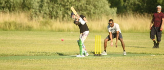 Cricketklubben hoppas på lyft även i Norrköping