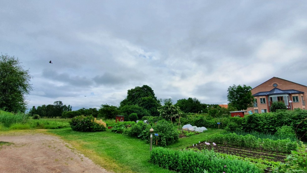 På marken bortanför Vätterngården kommer HSB Östergötland att bygga bostadsrättslägenheter.