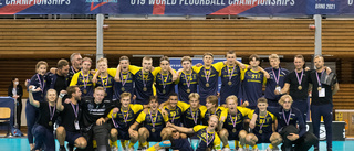 Ledbergsspelare stor hjälte när Sverige vann VM-brons