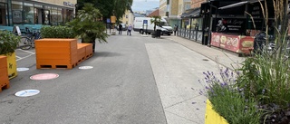 Förbjud all trafik på Repslagaregatan