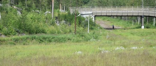 Tillgänglighetsbana planeras att byggas i Kalix