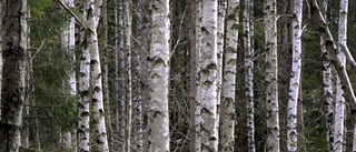 Nackaborna närmast skyddad natur