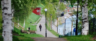 Vill se hammockar och toaletter längs älven