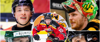 Norrbotten bäst på fostra SHL-spelare: "Nu släpper vi fram talanger – det hände inte tidigare"