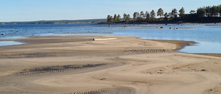 Läsarbilden; naturens eget konstverk