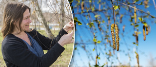 Pollen: "Väldigt mycket mer än förra året"