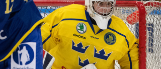 LHC-målvakten höll nollan i VM-matchen