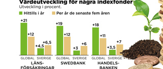 Sverige – en flopp för småspararen