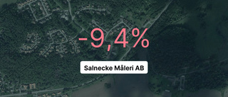 Ägarna till Salnecke Måleri AB tog ut knappt 6,3 miljoner kronor i utdelning - högsta summan på senaste fem åren