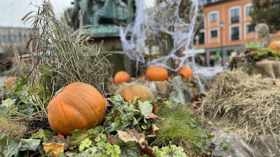 Halloween är här, hur har du dekorerat hemma?