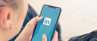 Varför har inte fler politiker upptäckt Linkedin?