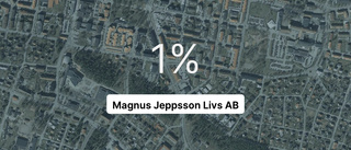 Intäkterna fortsätter växa för Magnus Jeppsson Livs AB