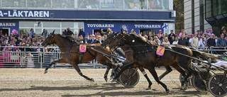 Stjärnhästen missar Prix d'Amérique