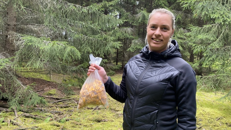 Sofie Rhedin delar med sig av kantarellerna till kommunens äldre: "Vad ska jag annars göra? Ge den till katten och hästarna?"