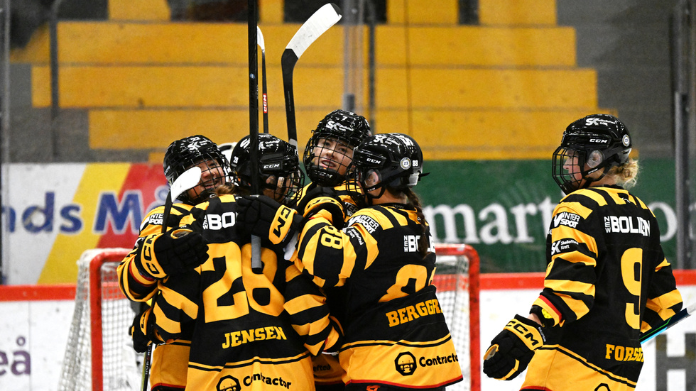 Skellefteå AIK är klara segrare av allsvenskan norra.