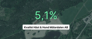 Kvalité Häst & Hund Mälardalen AB: Långt ifrån succéåret 2022, men solid marginal