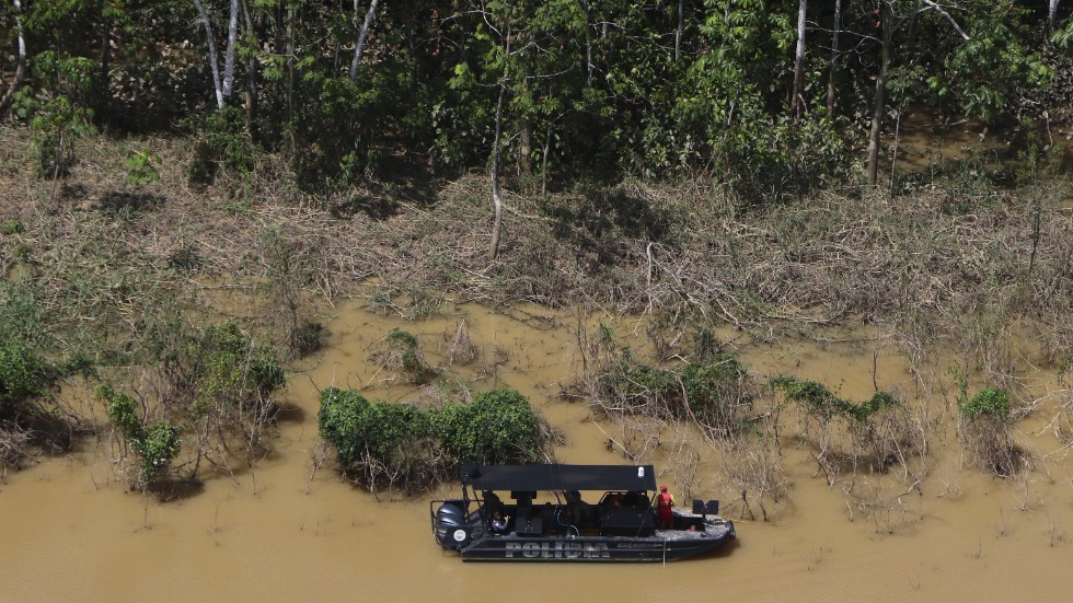 Våld, tortyr och hot följer avskogningen i Amazonas, som är en av de farligaste platserna i världen för miljöaktivister. Arkivbild.